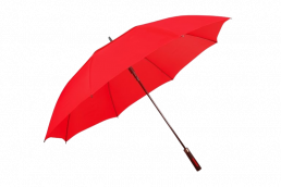 73F6DD31-5495-4BC1-9B48-