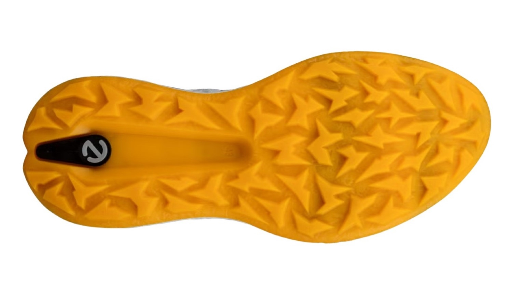 ECCO Biom H5 Men's Golf Shoes