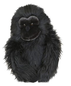 Daphnes Assorted Wood Covers