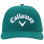  Callaway Men's Performance Pro Cap (Forest)