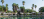 Sun City Cabanas & Golf Getaway